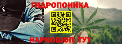 трава Кимры