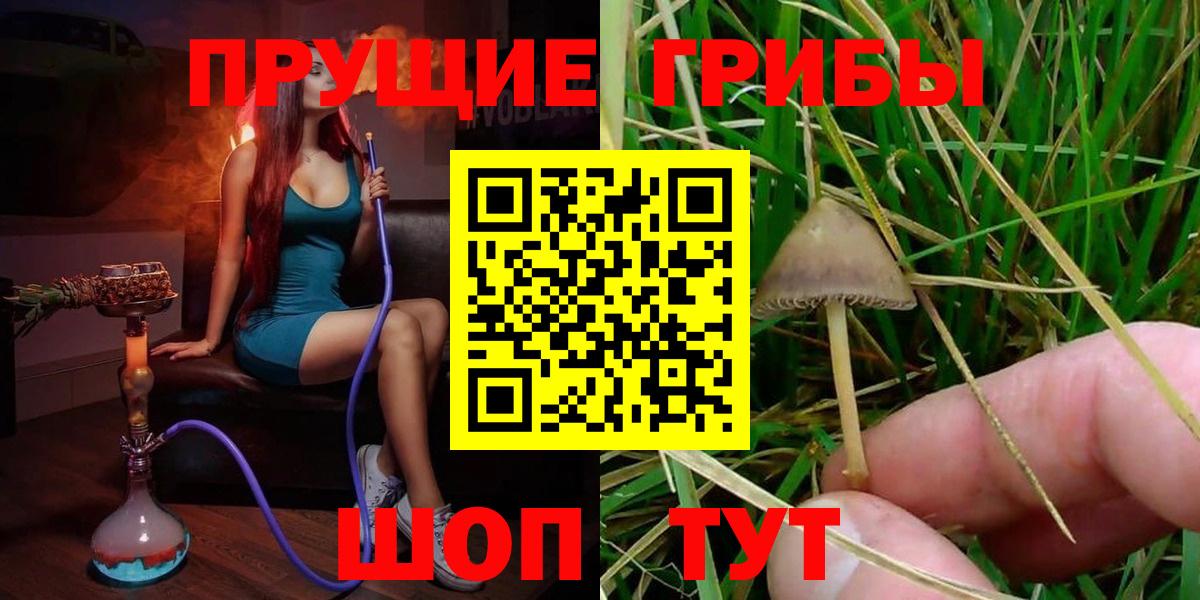 Галлюциногенные грибы мицелий  Вход с VPN  Псилоцибиновые грибы GOLDEN TEACHER  Кудымкар 