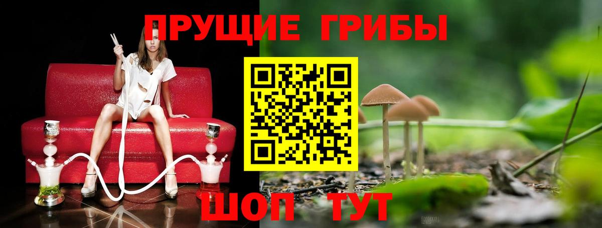 Псилоцибиновые грибы мицелий Кудымкар