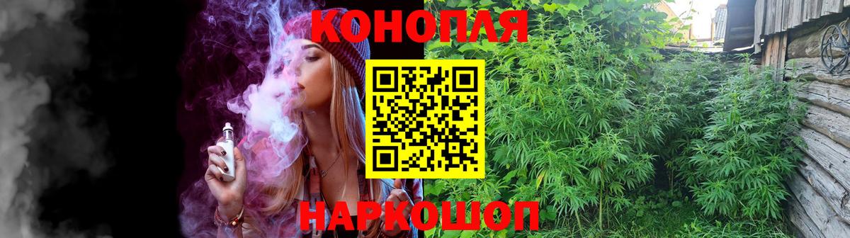 Кудымкар  Каннабис THC 21%  Вход с VPN  Канабис семена 